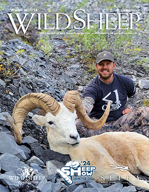 Winter 2023 Wild Sheep Cover